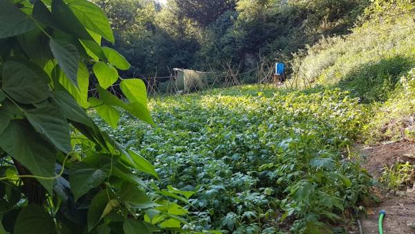 Allotjaments rurals Can Punti