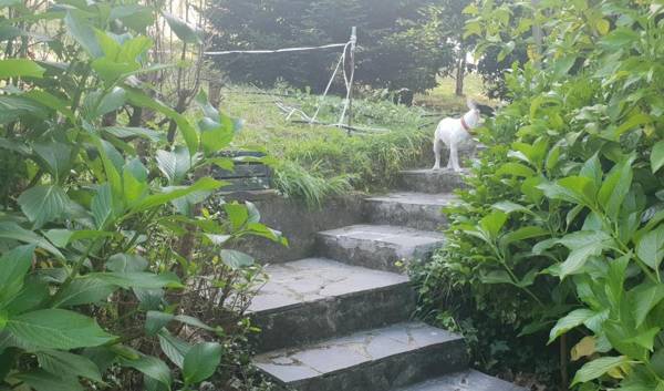 CASA DE CAMPO LAS ROZAS