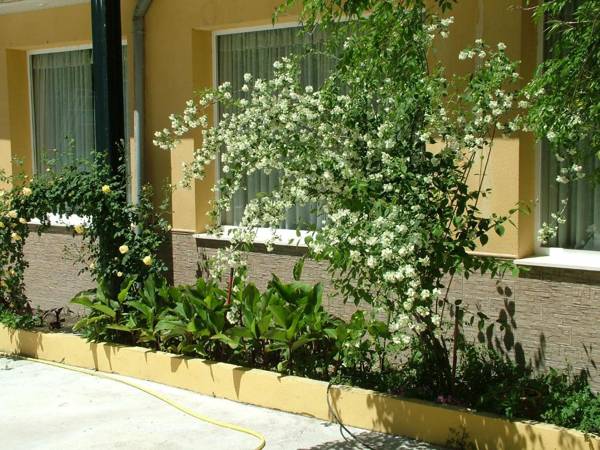 Hotel Río Piscina