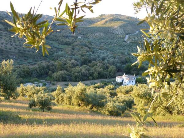 Casa Olea hotel rural