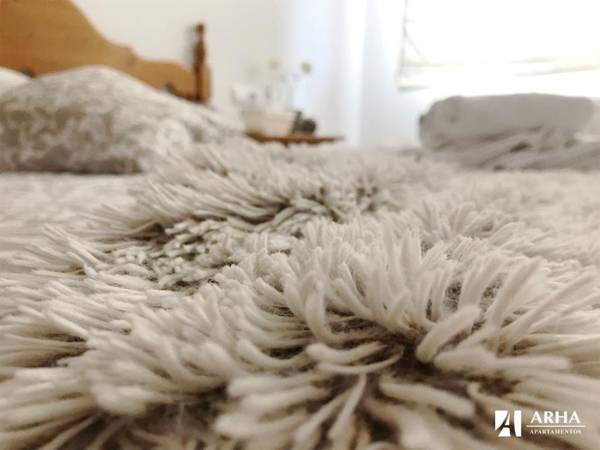 Apartamentos Arha