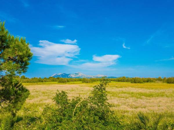 Can Cap de Bou by Alquilair