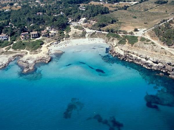 Villa Can Salom villa for 8 at Mal Pas Beach