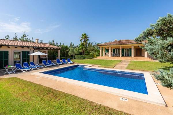 La Vinya del Beato 1950