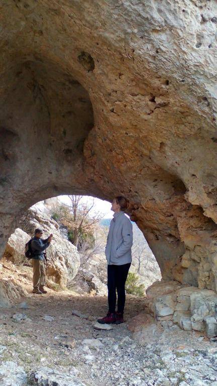 Casas Rurales Chon Alto Tajo