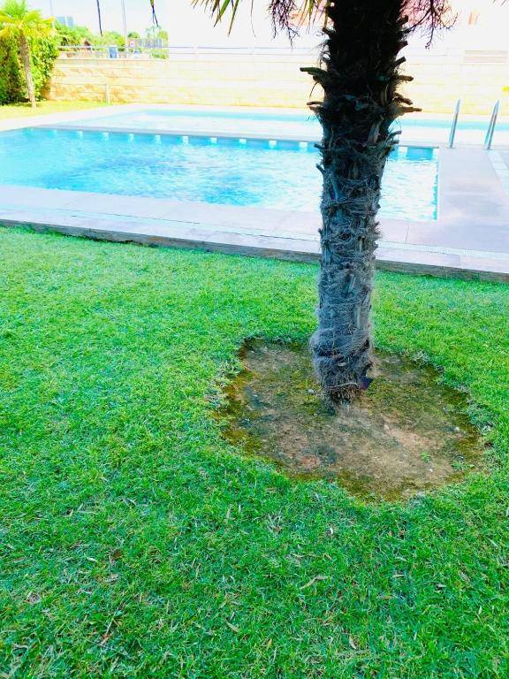 Atico Boutique Ambassador