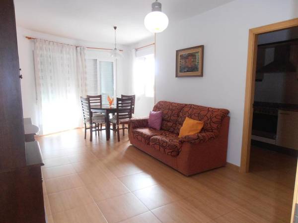 Maestro Bayarri HC-2D