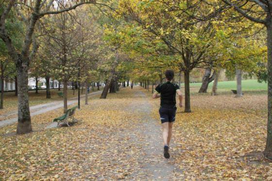 Apartamento Vuelta del Castillo