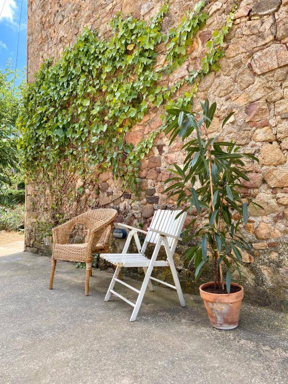 Ecoturisme Mas Ribas