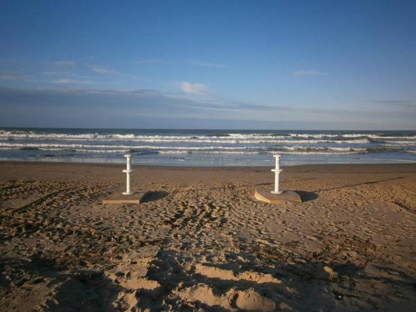 AD1000 Malybu Beach Oliva Nova