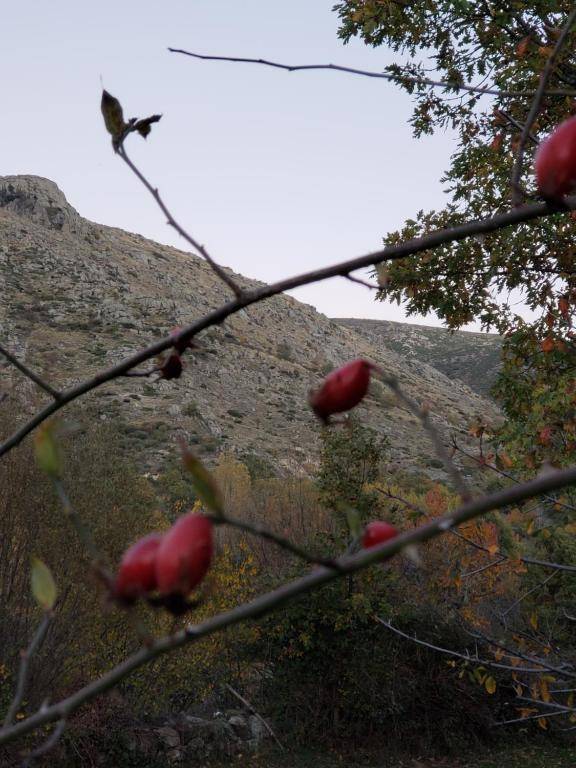 Las Tejeruelas Casa Rural