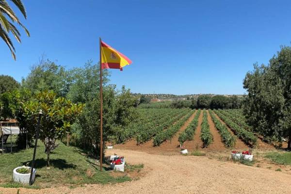 Casa apartamento rural La Cimbrona - Cayetana