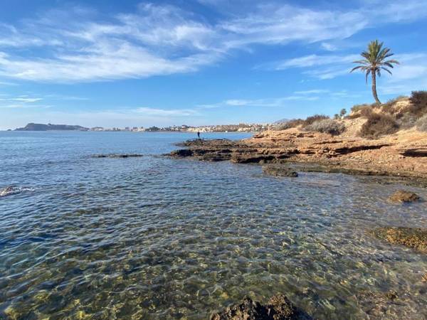 Apartamentos Buendía