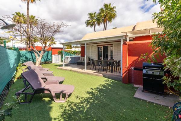 Flatguest Albaricoques