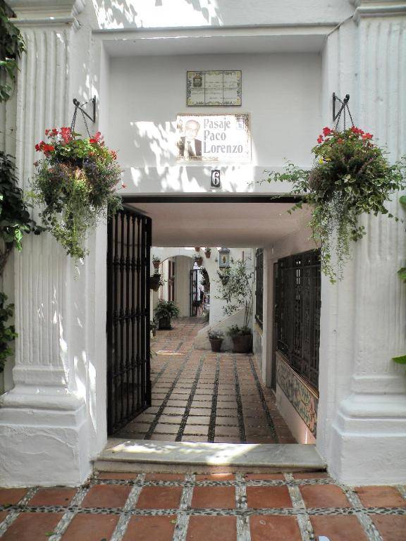 A relaxed bohemian vibe in Old town