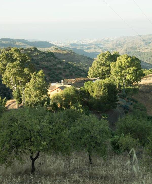 Rural Montes Málaga: Lagar Don Sancho