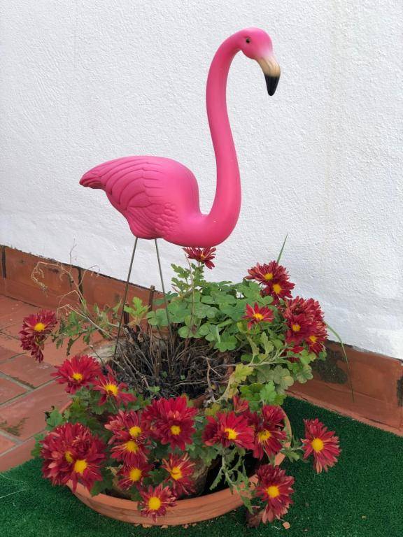 Habitación en Calle Molino