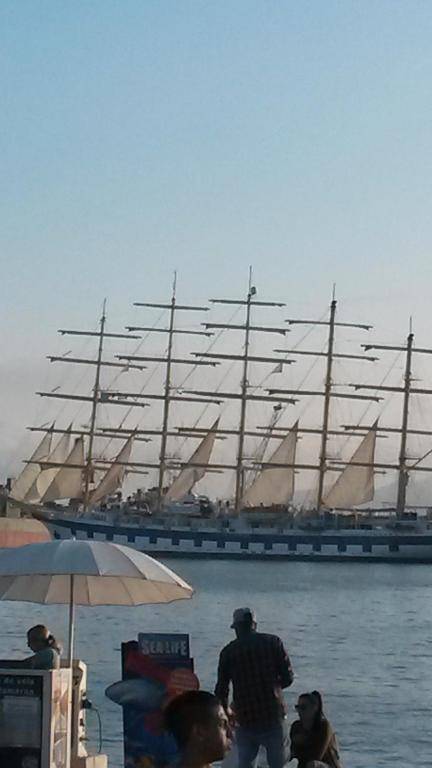 Serendipity Apartments