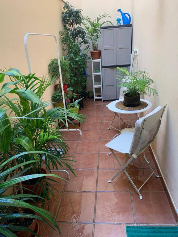 Historic center plaza de la merced free parking