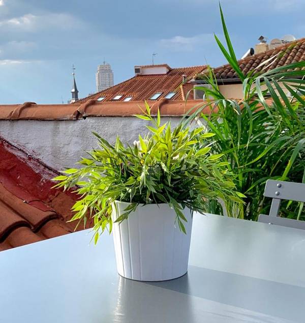 Apartamentos Puerta Del Sol