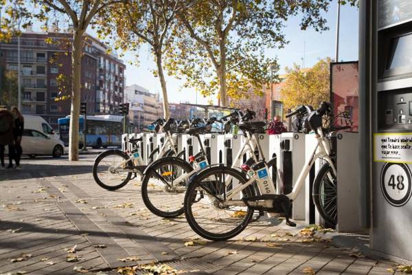 Solfai Vacacional 16