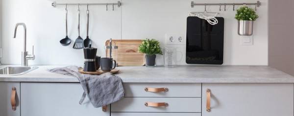 Dolphin Rentals Pinar del Rey