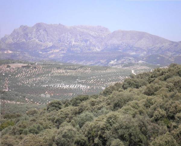 Hotel Sierra de Araceli Lucena