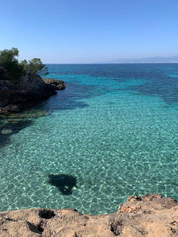 PALMA BAY FRONT LINE