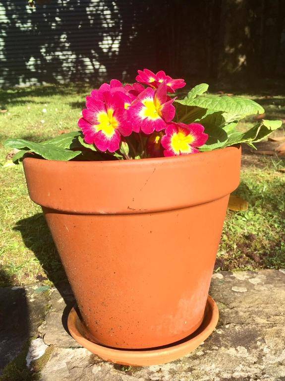 Posada La Torre de La Quintana