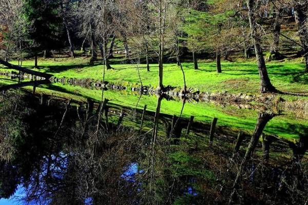 Apartamento La Paloma