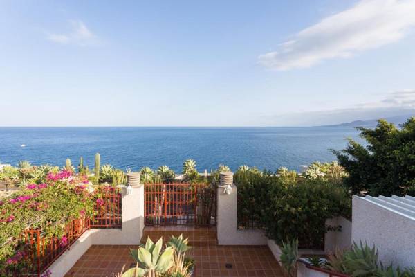 Live Tabaiba Maritime Avenue