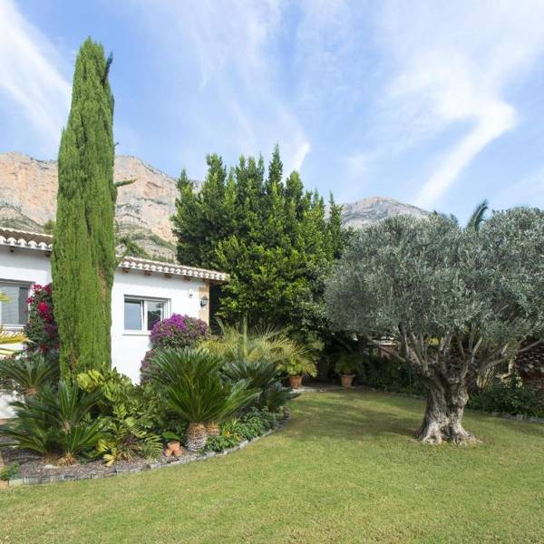 Villa Flores