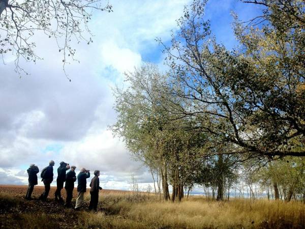 Metsola Apartamentos Rurales