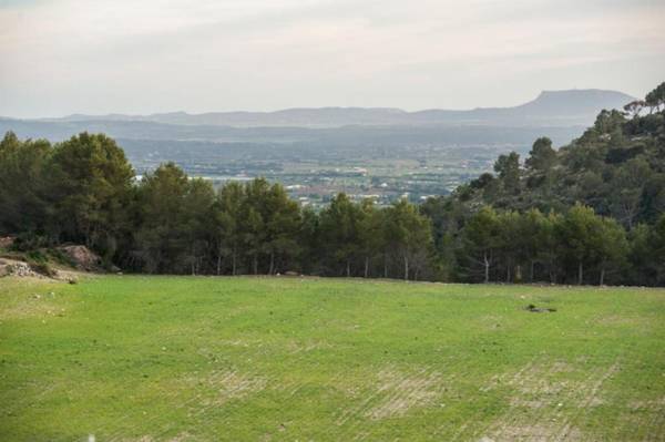 Sa Caseta (Can Sastre)