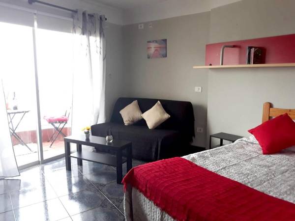Studio at Playa San Marcos 20 m away from the beach with sea view shared pool and furnished terrace