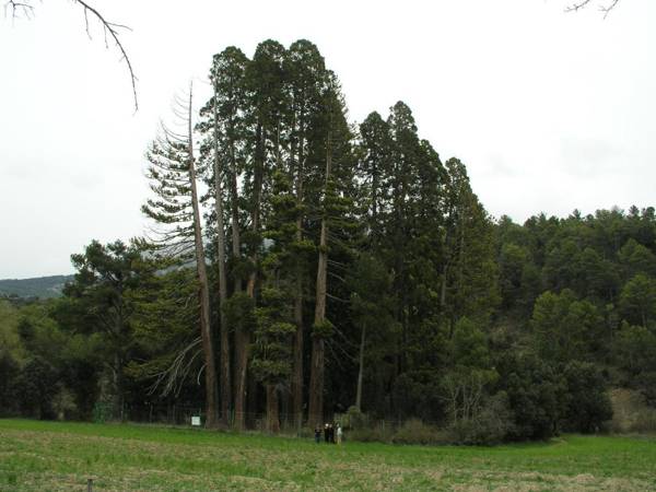 Casas Cueva Molino Fuencaliente