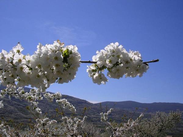 Complejo Turístico Las Cañadas Casas de Campo- Actividades Gratuitas Todos los Fines de Semana