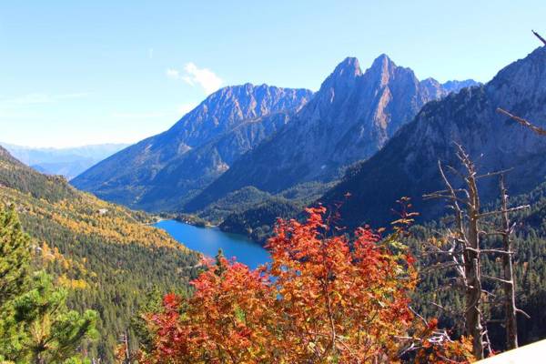 Bungalows Nou Camping