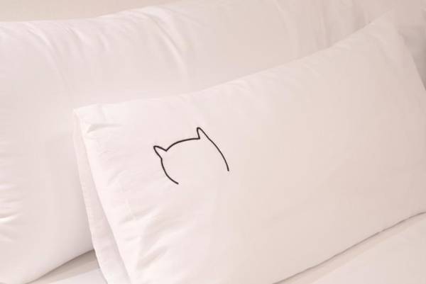 NUEVO Katu Kale Apartamentuak CENTRO HISTORICO