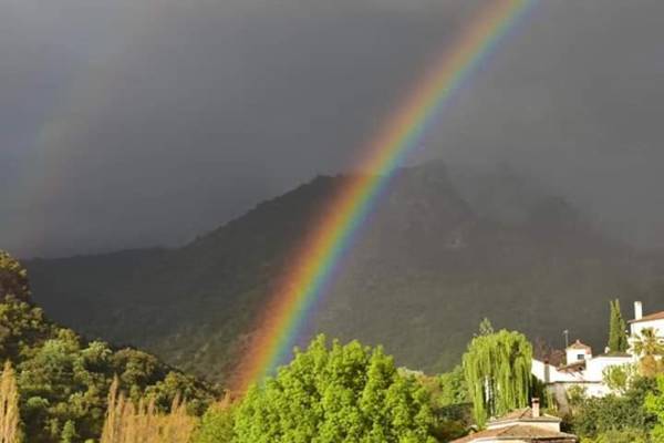 Casa La Rosa P.N. Sierra de Grazalema
