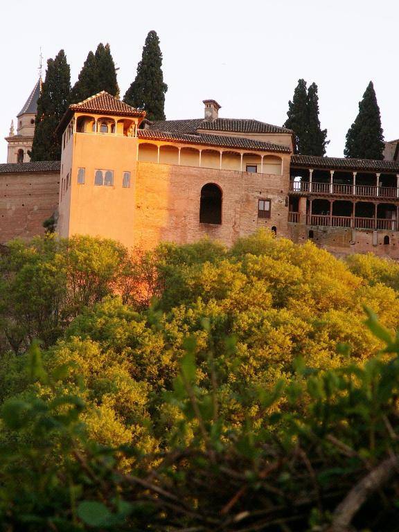 Oasis Backpackers' Hostel Granada