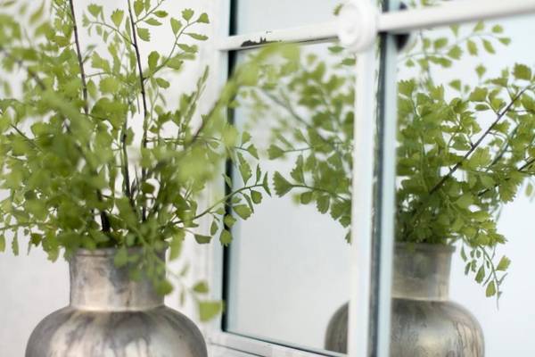 Chezmoihomes Trinidad Deluxe 3