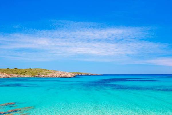 Apartamentos Posidonia