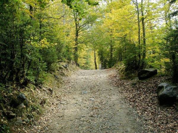 Apartamentos Pirineos Ordesa