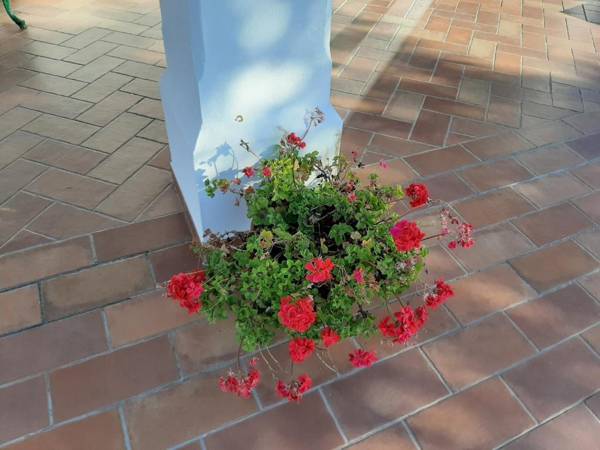 Casa Rural La Aulaga