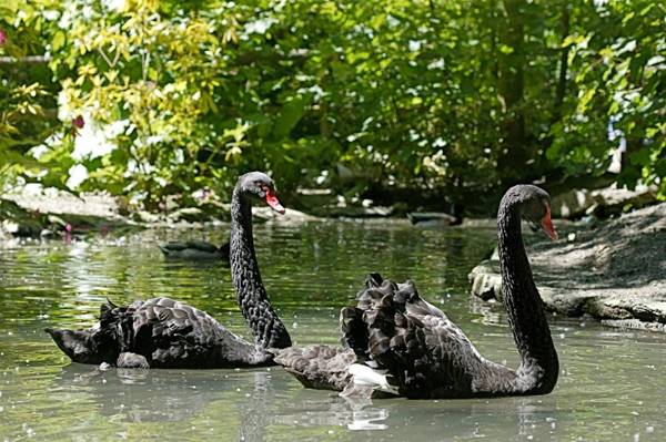 Casa Rural Molino Del Puente