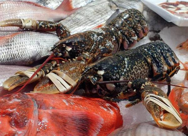 Hotel Restaurante el Fornon