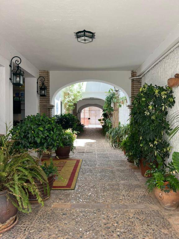 Soho Boutique Atalia