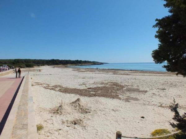 Apto antic 102 pax 6