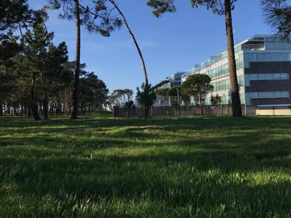 roomAREA vivienda turistica